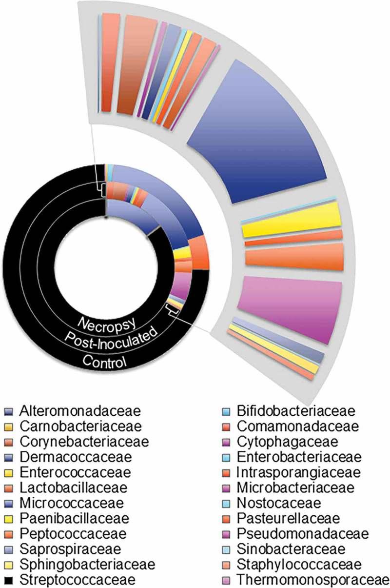https://cdn.ncbi.nlm.nih.gov/pmc/blobs/78a5/5646603/d5654f0ba2b9/ZJOM_A_1374153_F0001_C.jpg