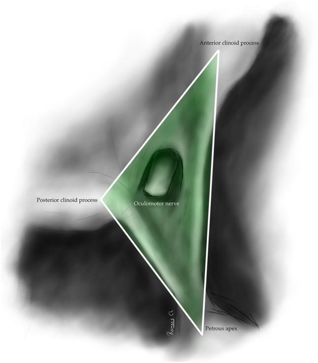 https://cdn.ncbi.nlm.nih.gov/pmc/blobs/78a6/10039822/3f665940986d/276_2023_3105_Fig2_HTML.jpg