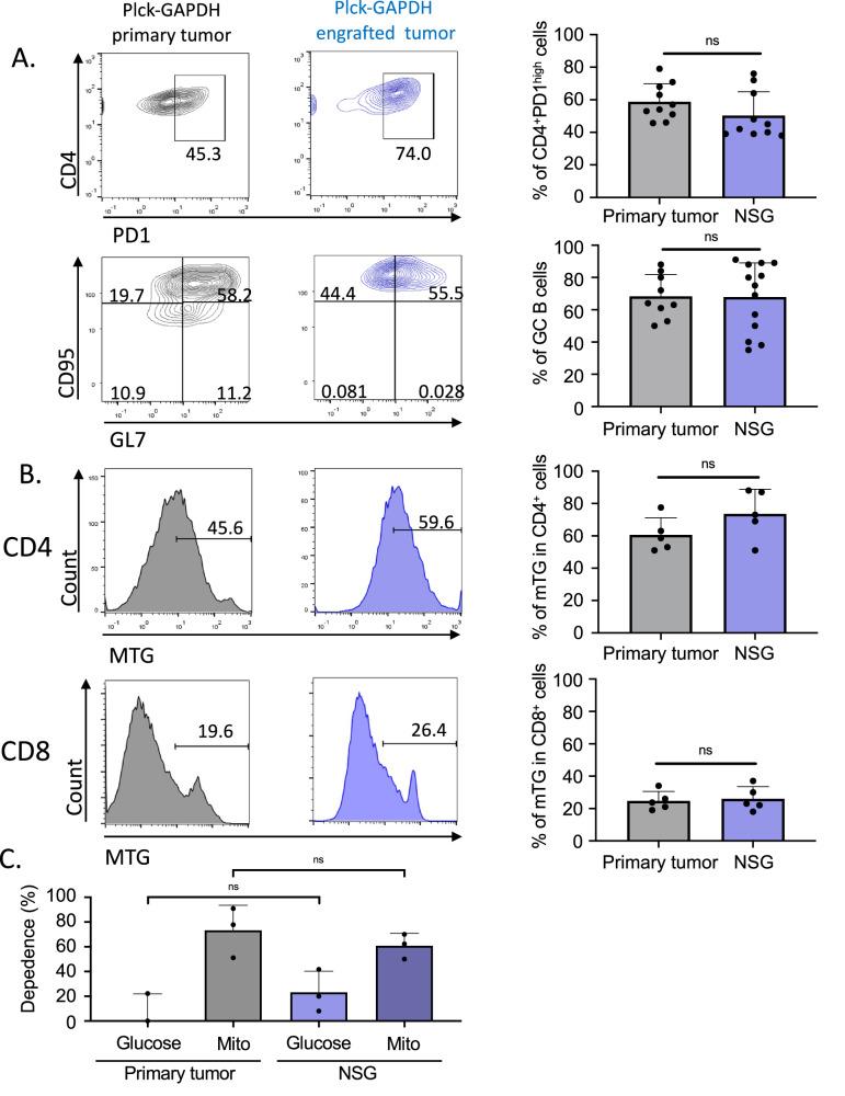 https://cdn.ncbi.nlm.nih.gov/pmc/blobs/78a7/11187159/aad81ca197a6/41420_2024_2061_Fig4_HTML.jpg