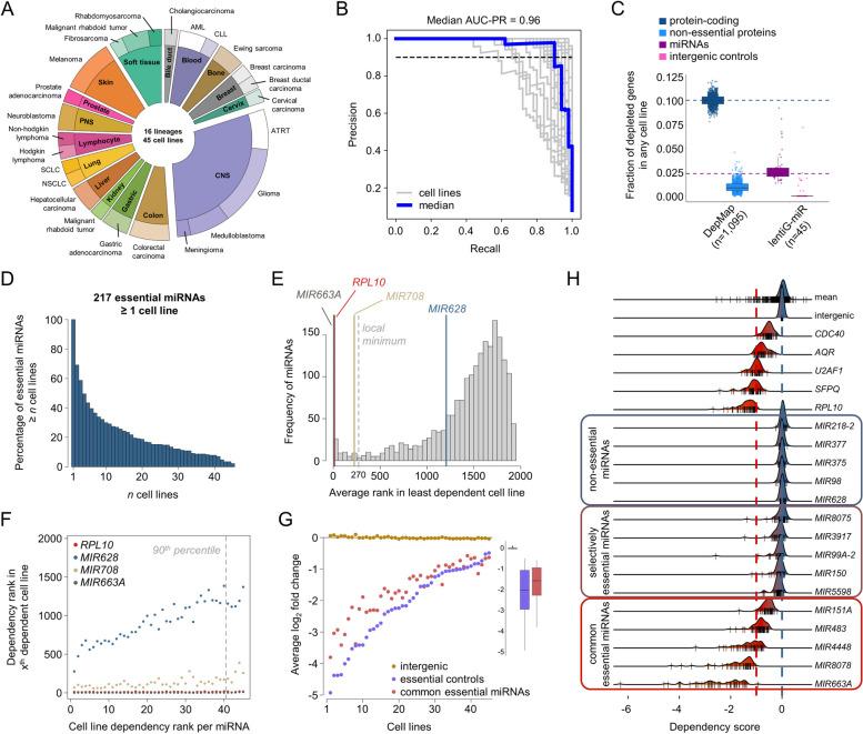 https://cdn.ncbi.nlm.nih.gov/pmc/blobs/78a8/11181638/9b1c38e0028f/13073_2024_1341_Fig2_HTML.jpg