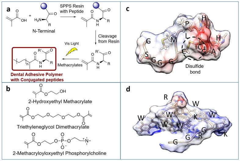 https://cdn.ncbi.nlm.nih.gov/pmc/blobs/78a8/8235192/0ec1246f0aa5/ijms-22-06552-g001.jpg