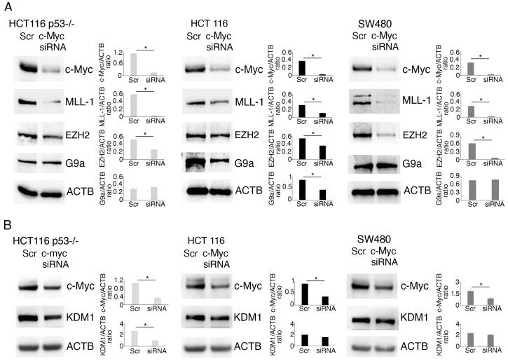 https://cdn.ncbi.nlm.nih.gov/pmc/blobs/78ac/12348775/83b3ea6edb77/molecules-30-03054-g007.jpg