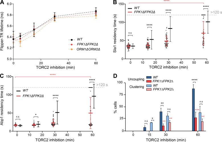 https://cdn.ncbi.nlm.nih.gov/pmc/blobs/78ad/6605812/d3d96c950fd3/JCB_201901096_Fig3.jpg