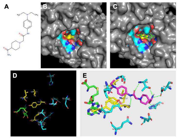 https://cdn.ncbi.nlm.nih.gov/pmc/blobs/78b1/8788566/58925362e3fb/diseases-10-00004-g003.jpg