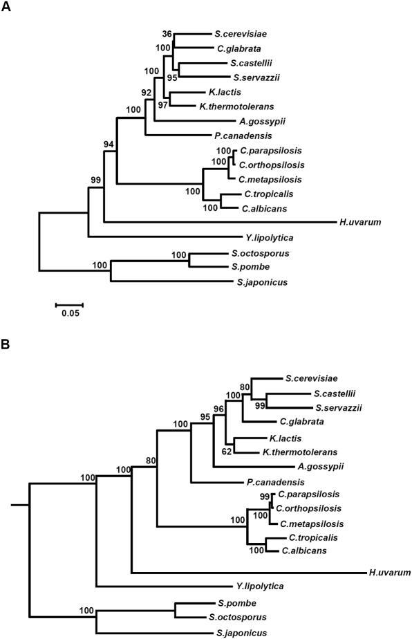 https://cdn.ncbi.nlm.nih.gov/pmc/blobs/78b5/1459067/74bdd4240d20/gkl327f6.jpg