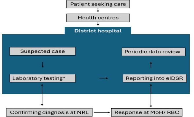 https://cdn.ncbi.nlm.nih.gov/pmc/blobs/78b6/12050324/537a00d06d0a/41598_2025_99538_Fig2_HTML.jpg