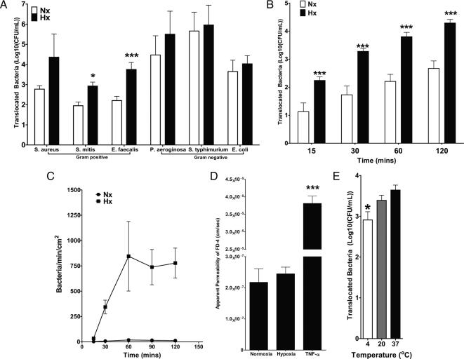 https://cdn.ncbi.nlm.nih.gov/pmc/blobs/78b6/2820419/562e673dd368/zmk0041093510001.jpg