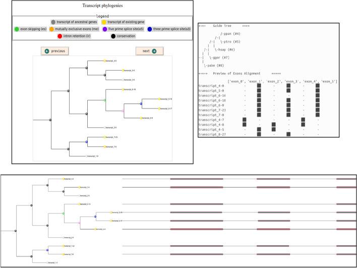 https://cdn.ncbi.nlm.nih.gov/pmc/blobs/78b7/11238459/52033c7c9895/12859_2024_5853_Fig4_HTML.jpg
