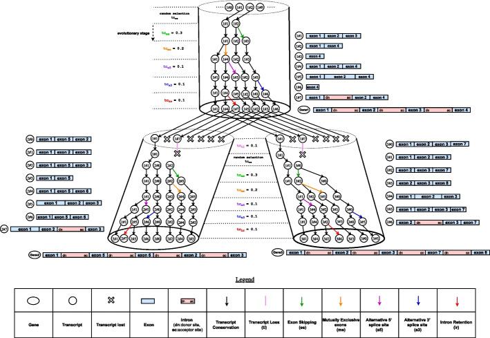 https://cdn.ncbi.nlm.nih.gov/pmc/blobs/78b7/11238459/9dc74c44a661/12859_2024_5853_Fig1_HTML.jpg