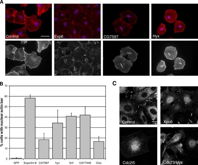 https://cdn.ncbi.nlm.nih.gov/pmc/blobs/78b7/3171124/b9b2aa6f7f7d/JCB_201103168_RGB_Fig6.jpg