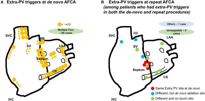 https://cdn.ncbi.nlm.nih.gov/pmc/blobs/78b7/8600078/d0270cd60062/fcvm-08-759967-g0002.jpg