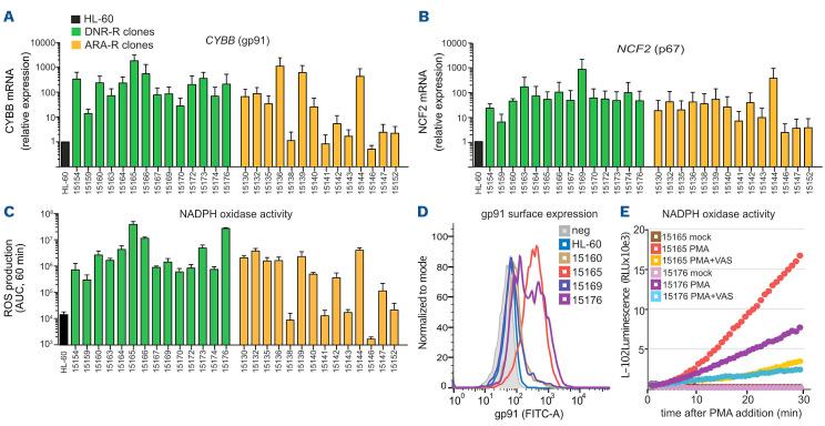 https://cdn.ncbi.nlm.nih.gov/pmc/blobs/78be/9614539/a61876e568b6/1072562.fig3.jpg