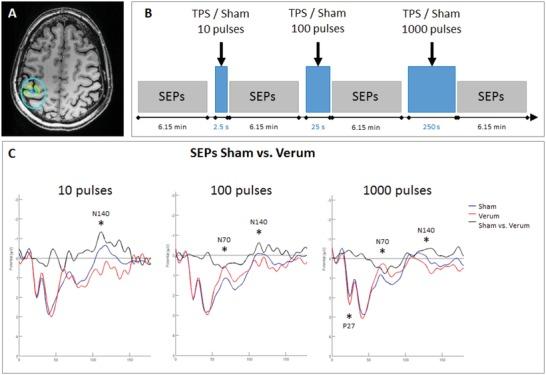 https://cdn.ncbi.nlm.nih.gov/pmc/blobs/78c0/7001626/42c27dc49819/ADVS-7-1902583-g002.jpg