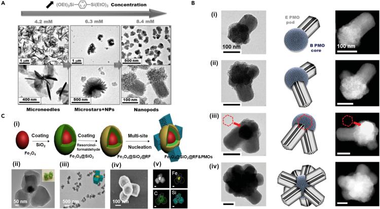 https://cdn.ncbi.nlm.nih.gov/pmc/blobs/78c1/7607446/046ec259fcf7/gr7.jpg