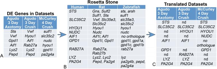 https://cdn.ncbi.nlm.nih.gov/pmc/blobs/78c3/5757855/21d351f49a42/mv-v23-987-f1.jpg
