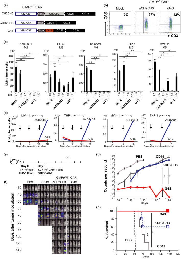 https://cdn.ncbi.nlm.nih.gov/pmc/blobs/78c6/8102137/6bccbb19c886/CTI2-10-e1282-g001.jpg
