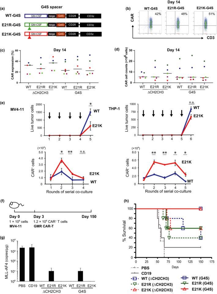 https://cdn.ncbi.nlm.nih.gov/pmc/blobs/78c6/8102137/c64db1fa2806/CTI2-10-e1282-g004.jpg