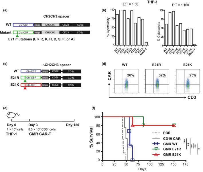 https://cdn.ncbi.nlm.nih.gov/pmc/blobs/78c6/8102137/d731ff264c62/CTI2-10-e1282-g003.jpg