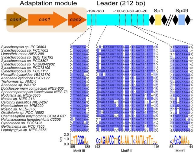 https://cdn.ncbi.nlm.nih.gov/pmc/blobs/78c7/6607411/1a168d8b2104/fnz129fig1.jpg