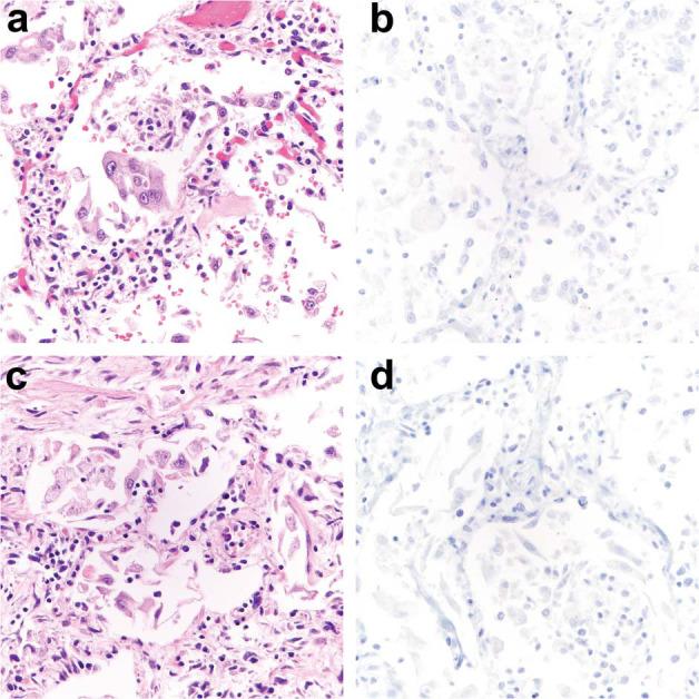 https://cdn.ncbi.nlm.nih.gov/pmc/blobs/78c8/9813561/99c885117e71/gr5_lrg.jpg