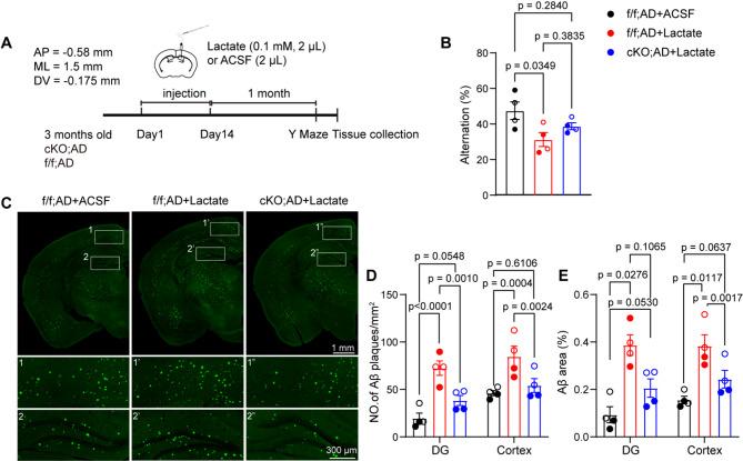 https://cdn.ncbi.nlm.nih.gov/pmc/blobs/78c9/12205523/0f48be384e6e/12974_2025_3488_Fig7_HTML.jpg