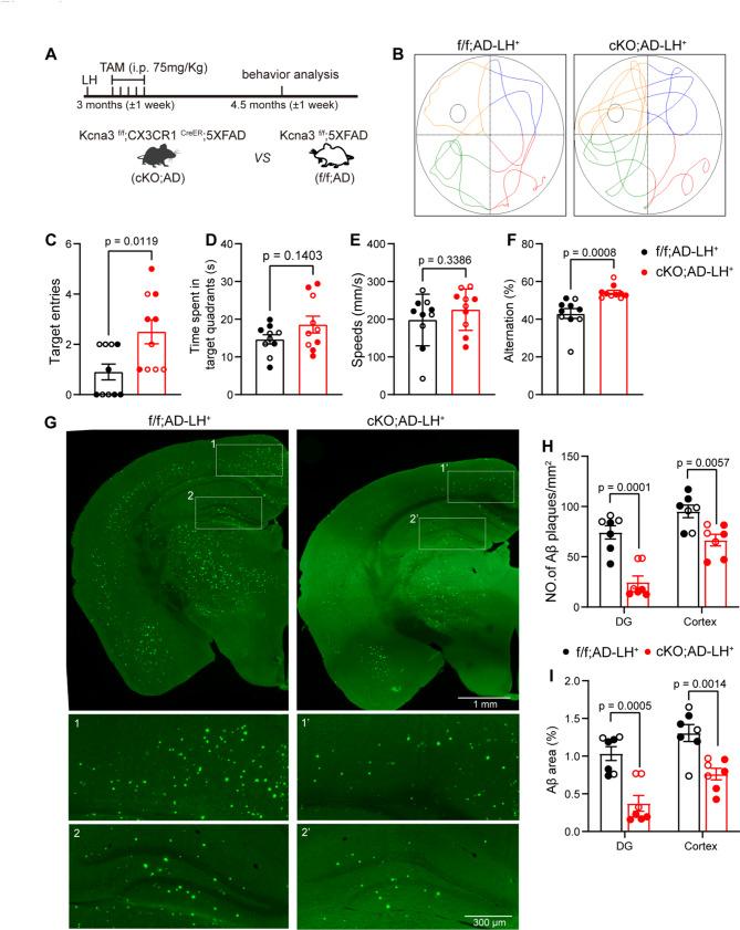 https://cdn.ncbi.nlm.nih.gov/pmc/blobs/78c9/12205523/113d1aeaa2b7/12974_2025_3488_Fig3_HTML.jpg