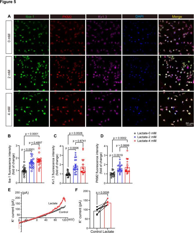 https://cdn.ncbi.nlm.nih.gov/pmc/blobs/78c9/12205523/1a05683aff69/12974_2025_3488_Fig5_HTML.jpg