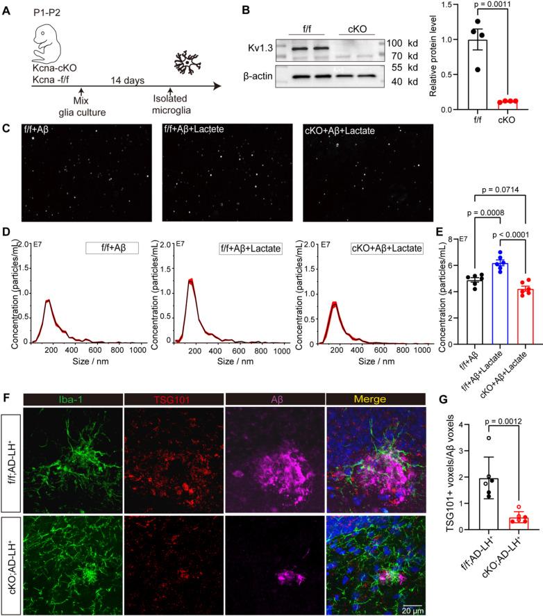 https://cdn.ncbi.nlm.nih.gov/pmc/blobs/78c9/12205523/1aa83ccb49cd/12974_2025_3488_Fig10_HTML.jpg