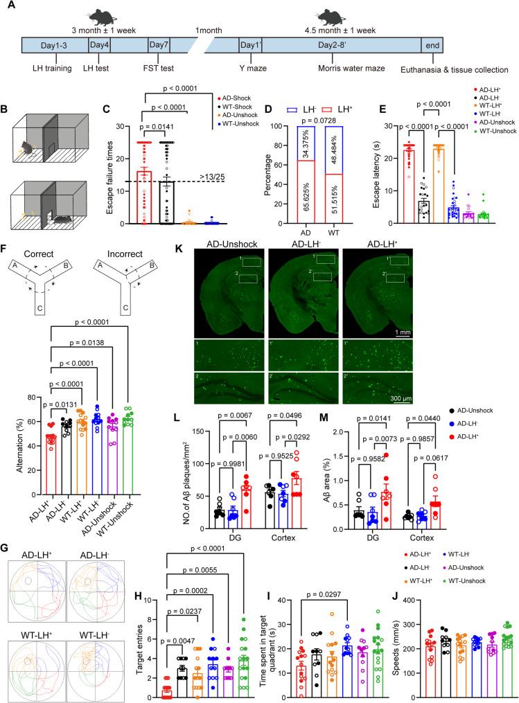 https://cdn.ncbi.nlm.nih.gov/pmc/blobs/78c9/12205523/5b868b8410bc/12974_2025_3488_Fig1_HTML.jpg