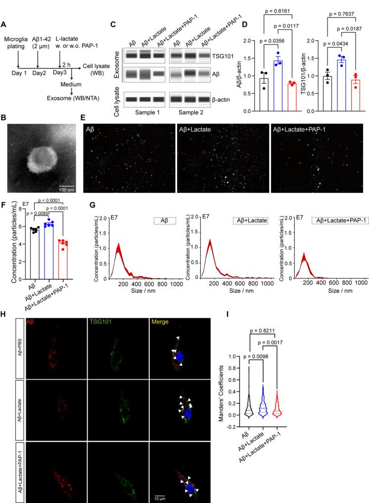 https://cdn.ncbi.nlm.nih.gov/pmc/blobs/78c9/12205523/668367cc01e1/12974_2025_3488_Fig9_HTML.jpg