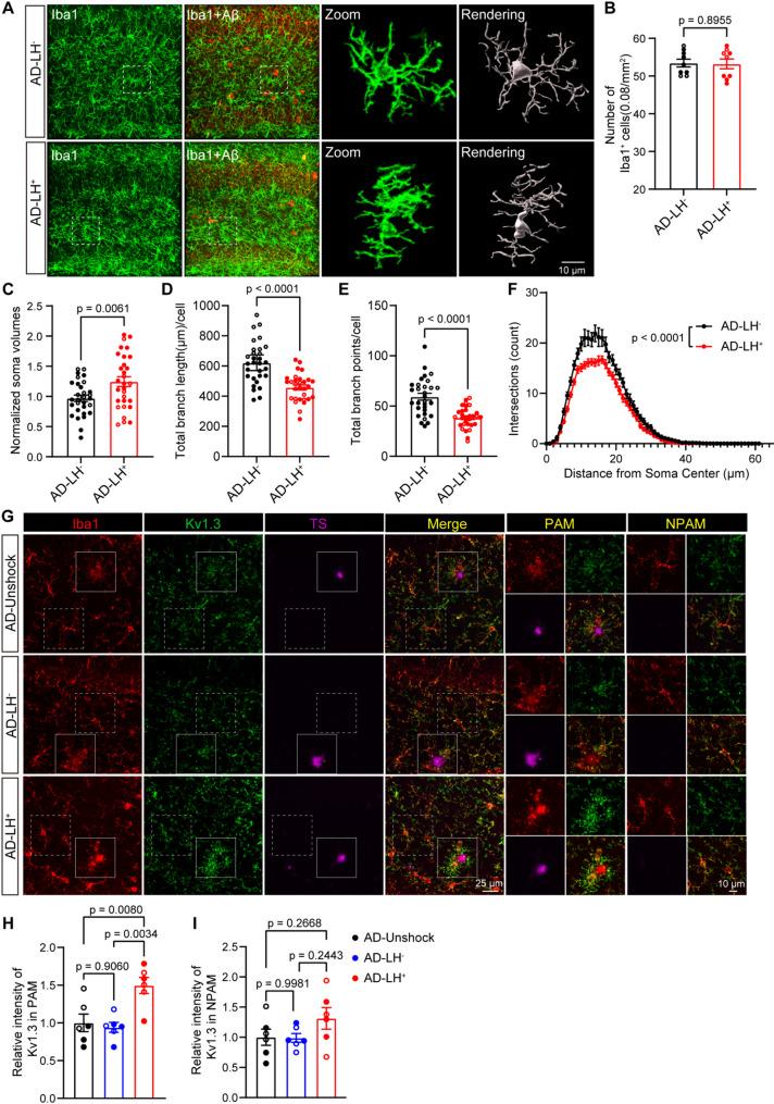 https://cdn.ncbi.nlm.nih.gov/pmc/blobs/78c9/12205523/773455a55d2c/12974_2025_3488_Fig2_HTML.jpg