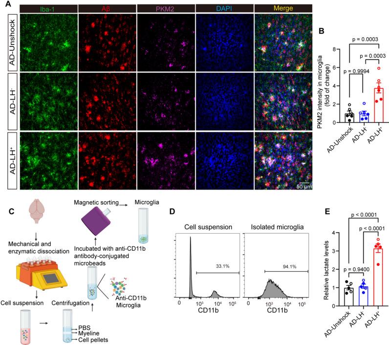 https://cdn.ncbi.nlm.nih.gov/pmc/blobs/78c9/12205523/8750345ae8cf/12974_2025_3488_Fig4_HTML.jpg