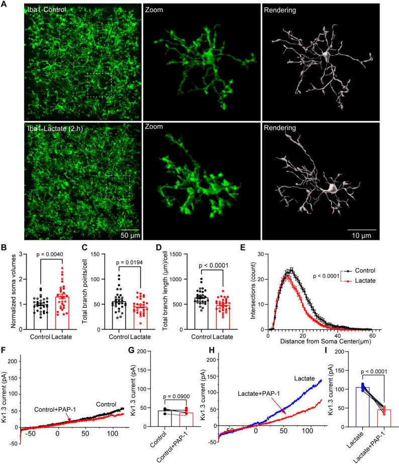 https://cdn.ncbi.nlm.nih.gov/pmc/blobs/78c9/12205523/8e9be3ff270a/12974_2025_3488_Fig6_HTML.jpg