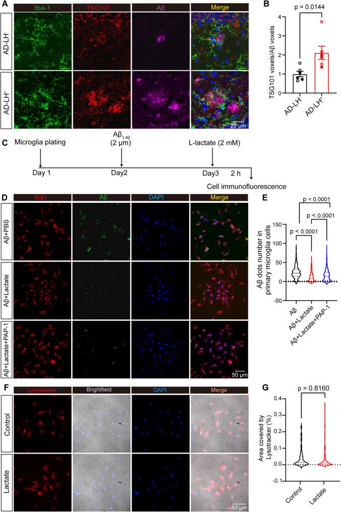 https://cdn.ncbi.nlm.nih.gov/pmc/blobs/78c9/12205523/ecf4fbea98f5/12974_2025_3488_Fig8_HTML.jpg