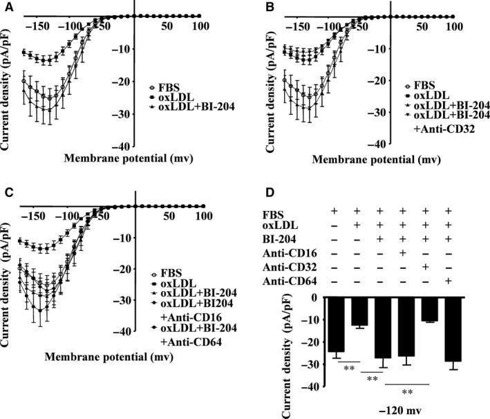 https://cdn.ncbi.nlm.nih.gov/pmc/blobs/78cb/5387129/3f1c0d07add5/JCMM-21-929-g007.jpg