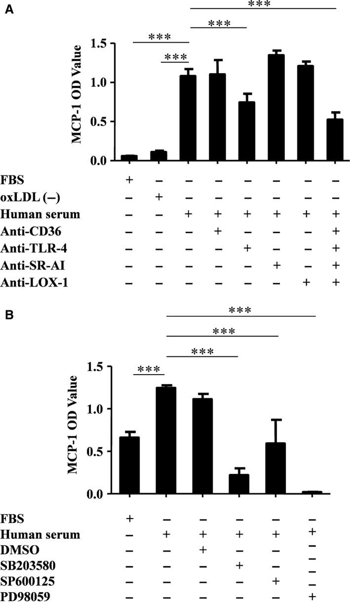 https://cdn.ncbi.nlm.nih.gov/pmc/blobs/78cb/5387129/766c38a22d5f/JCMM-21-929-g001.jpg