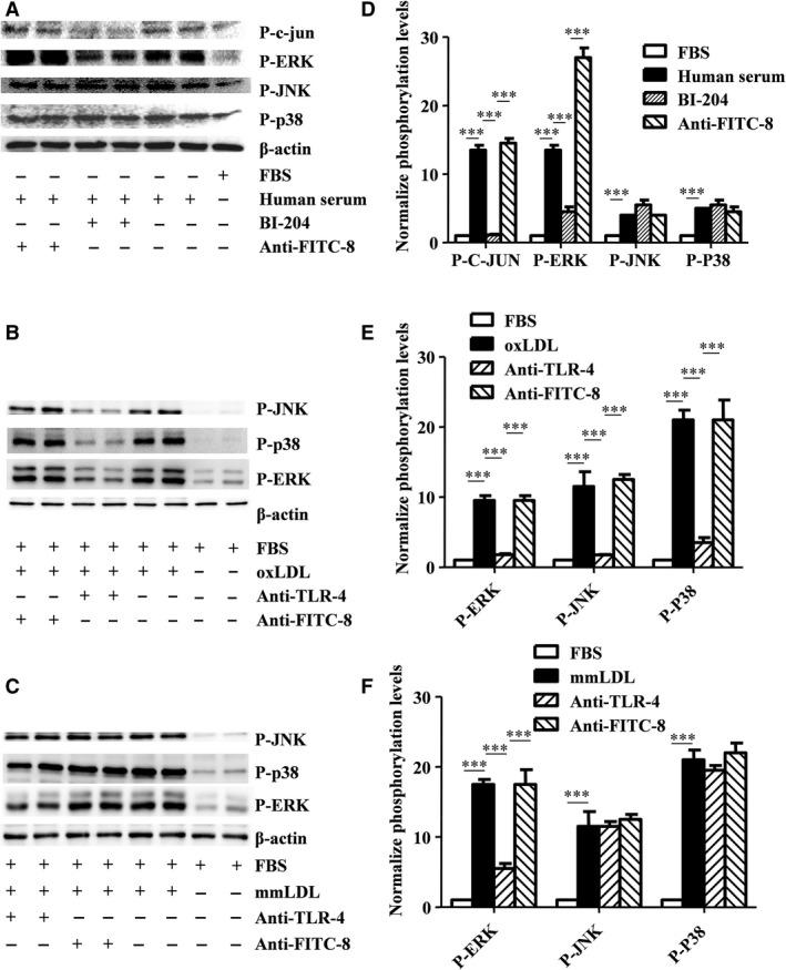 https://cdn.ncbi.nlm.nih.gov/pmc/blobs/78cb/5387129/c1362c9b74f5/JCMM-21-929-g008.jpg