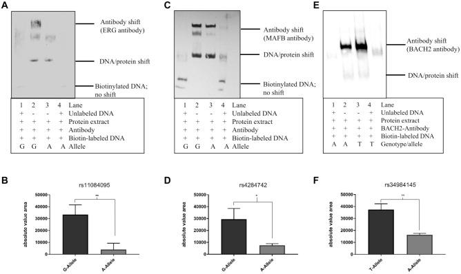 https://cdn.ncbi.nlm.nih.gov/pmc/blobs/78cb/9024020/710ee94460bd/10.1177_00220345211049984-fig3.jpg