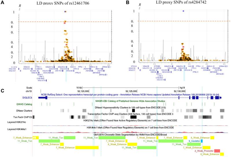 https://cdn.ncbi.nlm.nih.gov/pmc/blobs/78cb/9024020/89b711b54c14/10.1177_00220345211049984-fig1.jpg