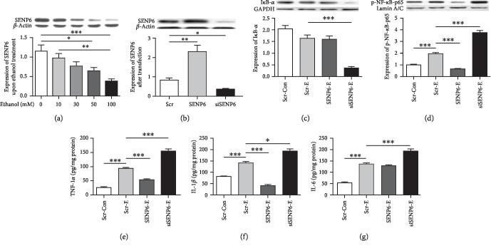 https://cdn.ncbi.nlm.nih.gov/pmc/blobs/78cc/6874951/69fc6fe374f1/NP2019-1648736.005.jpg