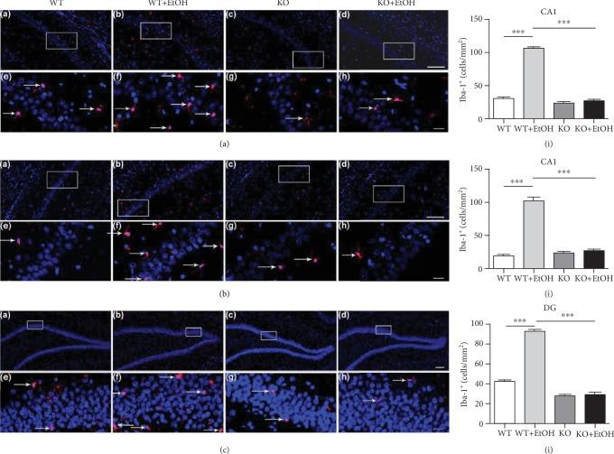 https://cdn.ncbi.nlm.nih.gov/pmc/blobs/78cc/6874951/abd042fed159/NP2019-1648736.001.jpg