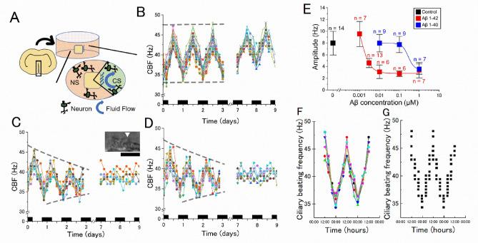 https://cdn.ncbi.nlm.nih.gov/pmc/blobs/78cd/10442439/83837510956a/41598_2023_40742_Fig1_HTML.jpg