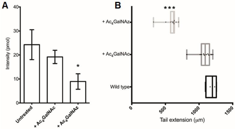 https://cdn.ncbi.nlm.nih.gov/pmc/blobs/78ce/8269443/90f19984894f/ijms-22-06988-g006.jpg