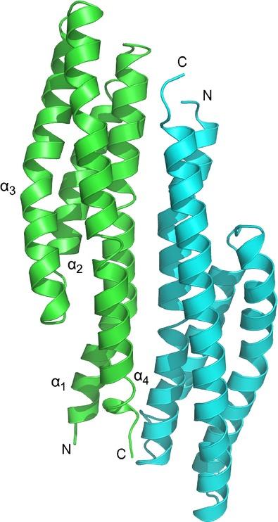 https://cdn.ncbi.nlm.nih.gov/pmc/blobs/78cf/3831638/b5588b0932a1/mbo30002-0766-f2.jpg