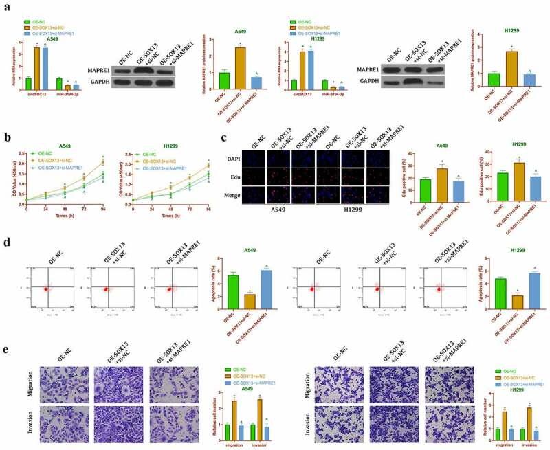 https://cdn.ncbi.nlm.nih.gov/pmc/blobs/78cf/8805859/7bdcd9a57c4b/KBIE_A_1997223_F0006_OC.jpg