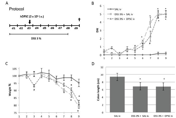 https://cdn.ncbi.nlm.nih.gov/pmc/blobs/78d0/5333580/c881c003c852/CN-14-914_F1.jpg