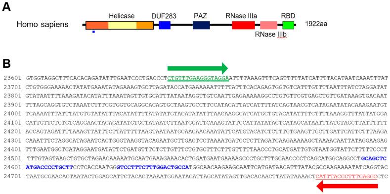 https://cdn.ncbi.nlm.nih.gov/pmc/blobs/78d0/8952432/3824b589b7fc/genes-13-00436-g001.jpg