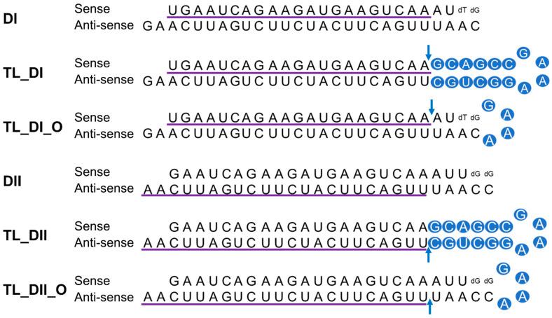 https://cdn.ncbi.nlm.nih.gov/pmc/blobs/78d0/8952432/4c36f32d3805/genes-13-00436-g004.jpg