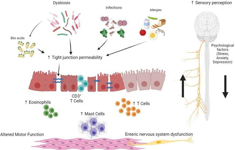 https://cdn.ncbi.nlm.nih.gov/pmc/blobs/78d2/10688783/7f38b57c8552/mrr-1-2-11.fig.1.jpg