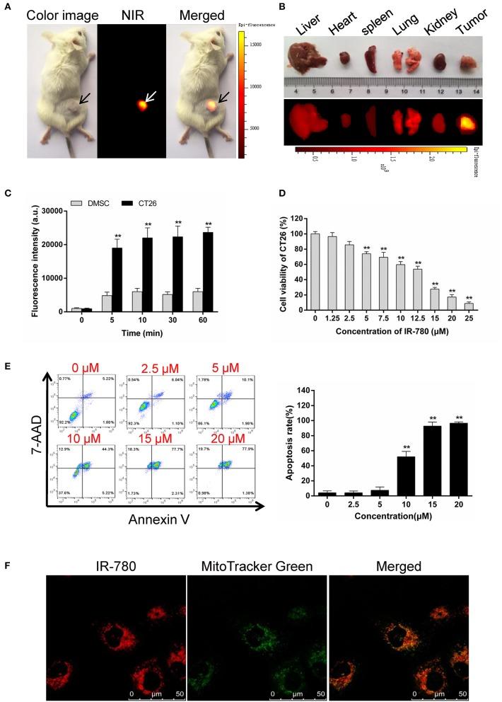 https://cdn.ncbi.nlm.nih.gov/pmc/blobs/78d2/6861368/3ef7dc426f37/fonc-09-01196-g0001.jpg